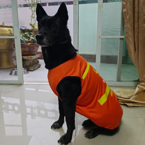 สมาชิกหมายเลข 2126990