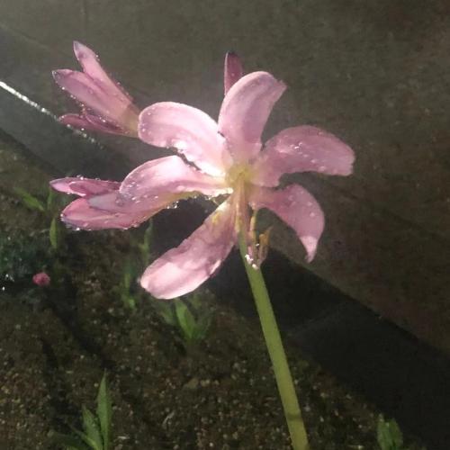 สมาชิกหมายเลข 8905064