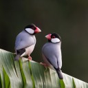 สมาชิกหมายเลข 3842792