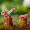 สมาชิกหมายเลข 3324001