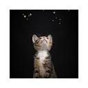 สมาชิกหมายเลข 3389468