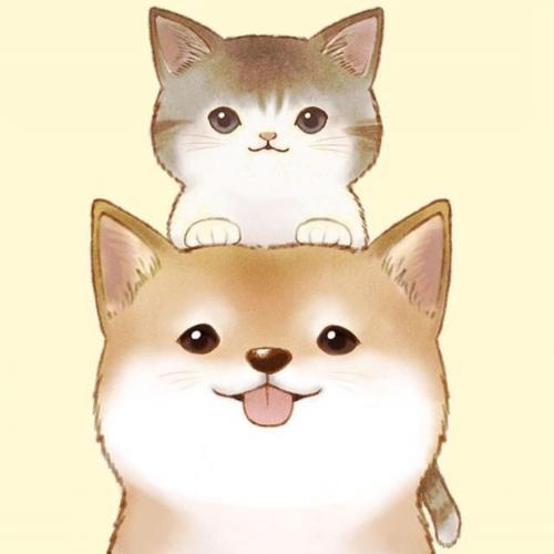 สมาชิกหมายเลข 1928337