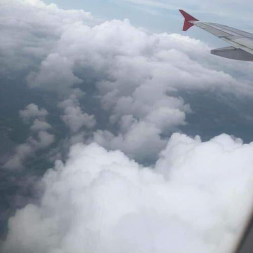 สมาชิกหมายเลข 5019037