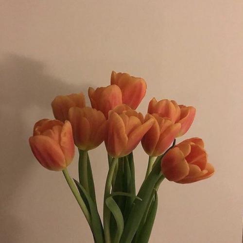 สมาชิกหมายเลข 4398743