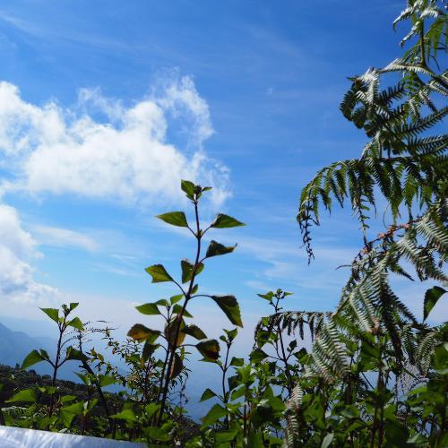 สมาชิกหมายเลข 5057483