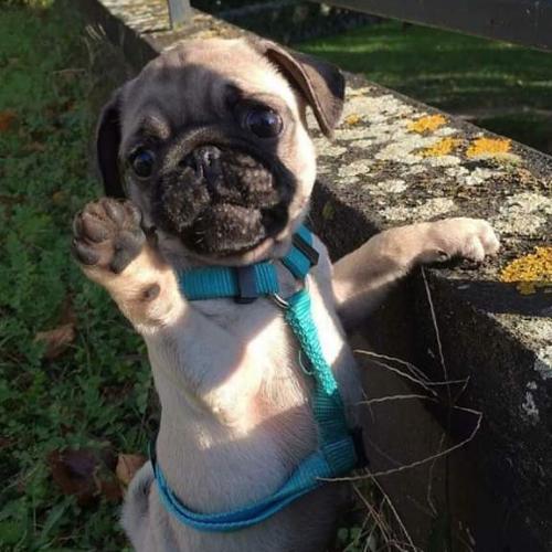 สมาชิกหมายเลข 5458164