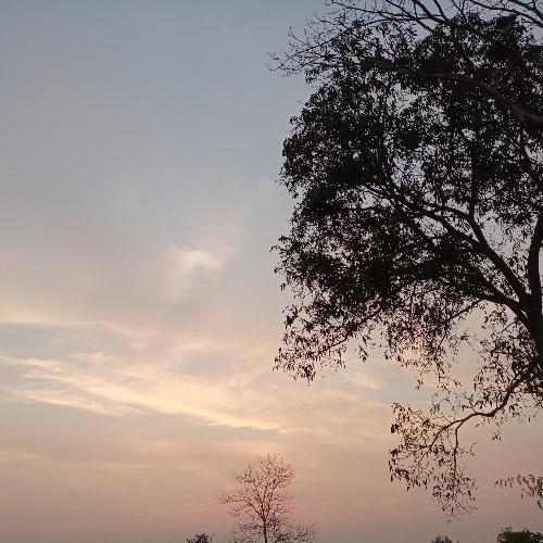 สมาชิกหมายเลข 5981742