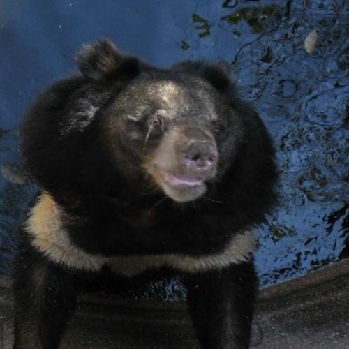 สมาชิกหมายเลข 4645769