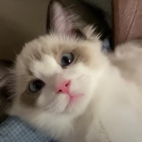 สมาชิกหมายเลข 6178482