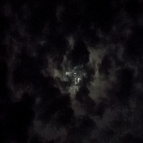 สมาชิกหมายเลข 6556943