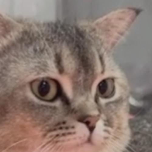 สมาชิกหมายเลข 2862906