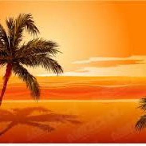 สมาชิกหมายเลข 8074056