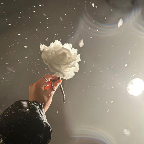 สมาชิกหมายเลข 8178697