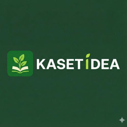 สมาชิกหมายเลข 4531366