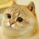 สมาชิกหมายเลข 3666851