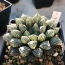 สมาชิกหมายเลข 3885097