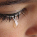 สมาชิกหมายเลข 4325648