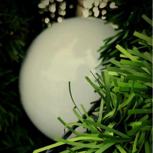 สมาชิกหมายเลข 5064571