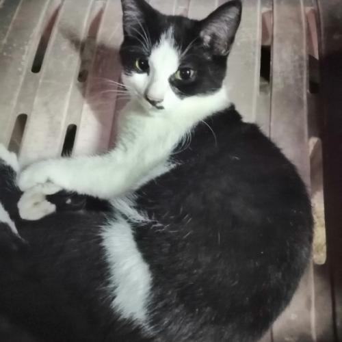 สมาชิกหมายเลข 3362512