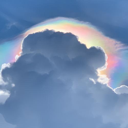 สมาชิกหมายเลข 5445675