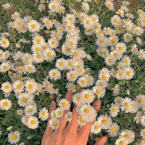 สมาชิกหมายเลข 5772990