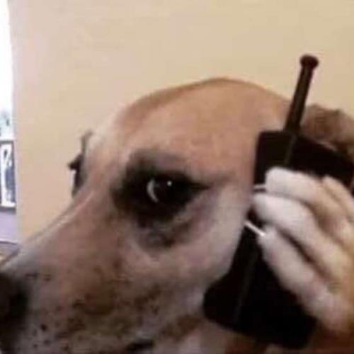 สมาชิกหมายเลข 7327498