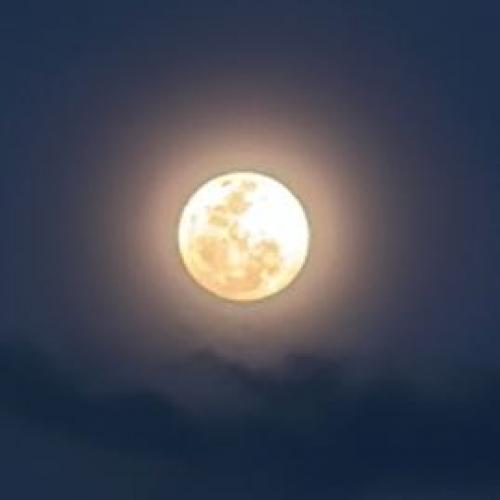 สมาชิกหมายเลข 6312646