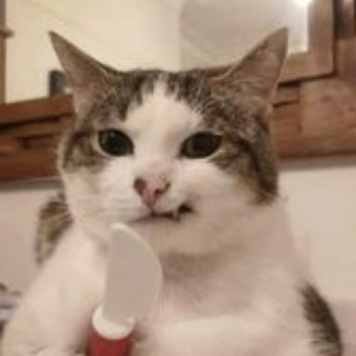 สมาชิกหมายเลข 7640334