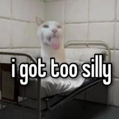 สมาชิกหมายเลข 8180339