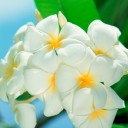 สมาชิกหมายเลข 1641606