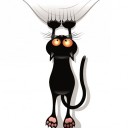 สมาชิกหมายเลข 3585985