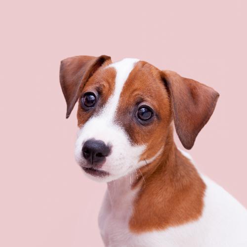 สมาชิกหมายเลข 4698413