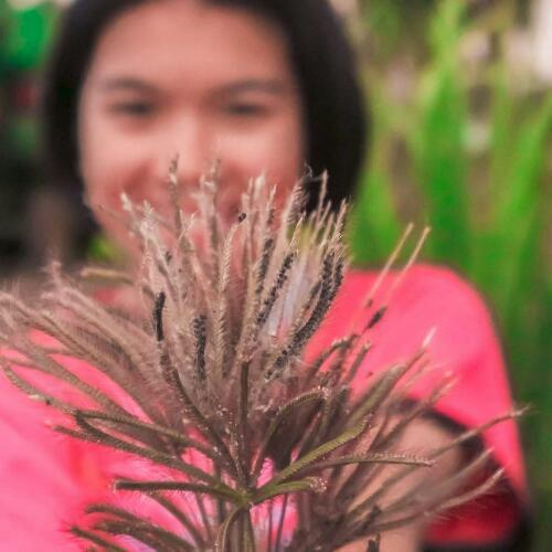 สมาชิกหมายเลข 4698464