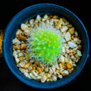 สมาชิกหมายเลข 1226748