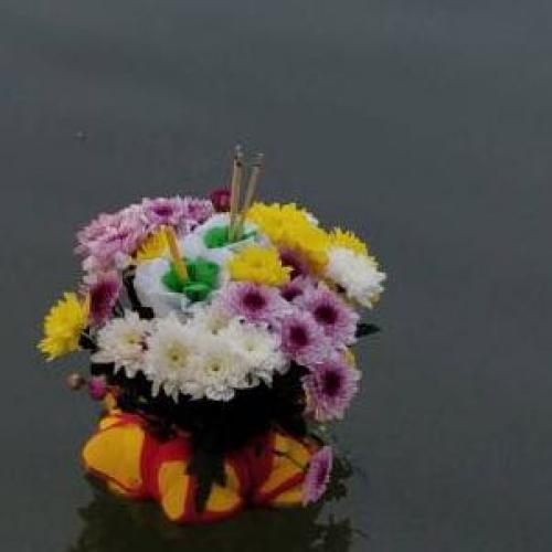 สมาชิกหมายเลข 1917785