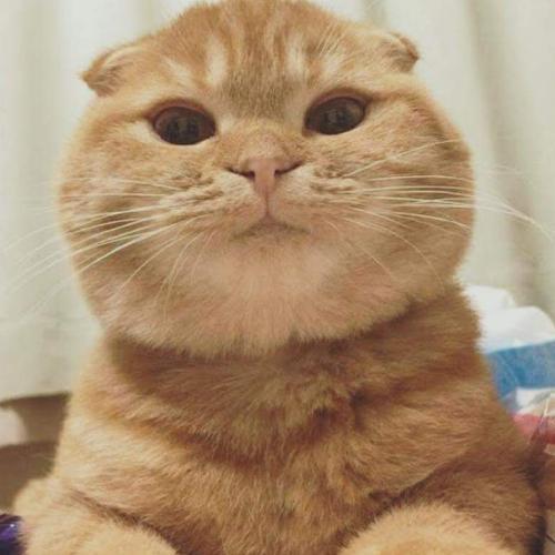 สมาชิกหมายเลข 4698234