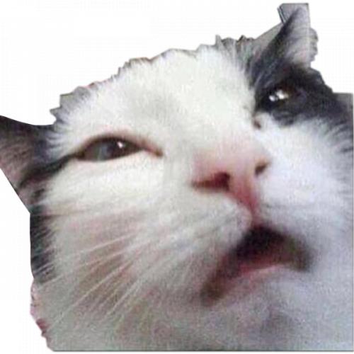 สมาชิกหมายเลข 7316836