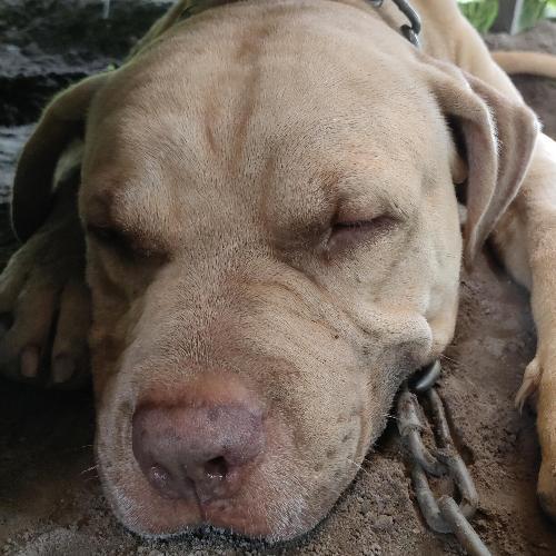 สมาชิกหมายเลข 7328390