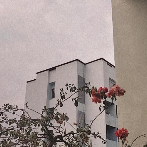 สมาชิกหมายเลข 6541810