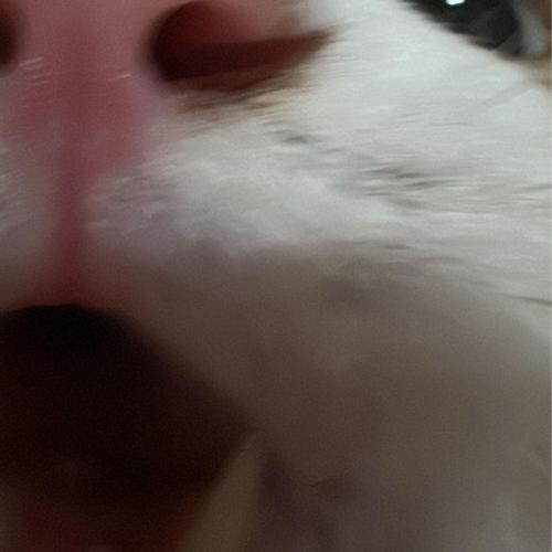 สมาชิกหมายเลข 8414631