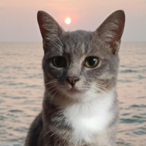 สมาชิกหมายเลข 9205219