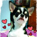 สมาชิกหมายเลข 1187753