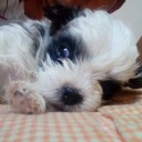 สมาชิกหมายเลข 3859372