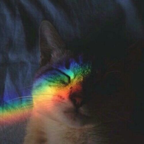 สมาชิกหมายเลข 4698594