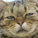 สมาชิกหมายเลข 4698688