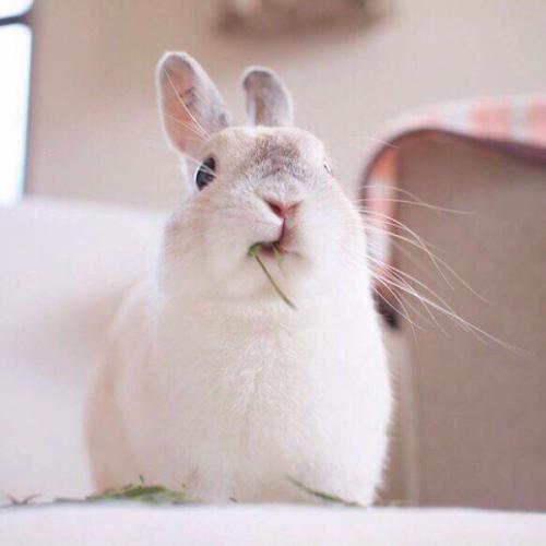 สมาชิกหมายเลข 4698775