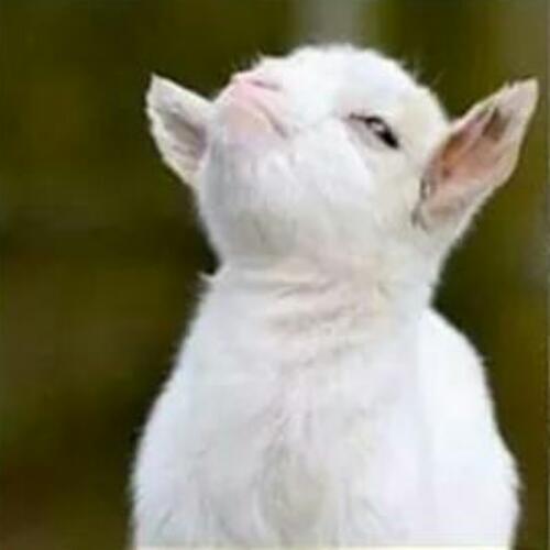 สมาชิกหมายเลข 4698798