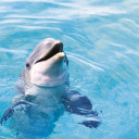 สมาชิกหมายเลข 2398361