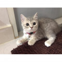 สมาชิกหมายเลข 2776035