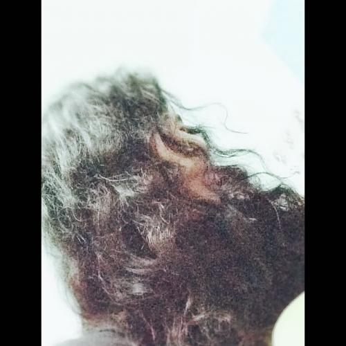 สมาชิกหมายเลข 5066253